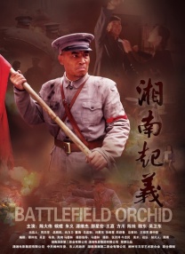 手机免费播放